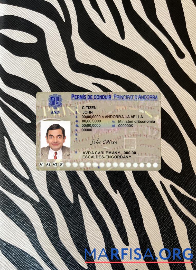 Realistic Andorra driving license photolook real example